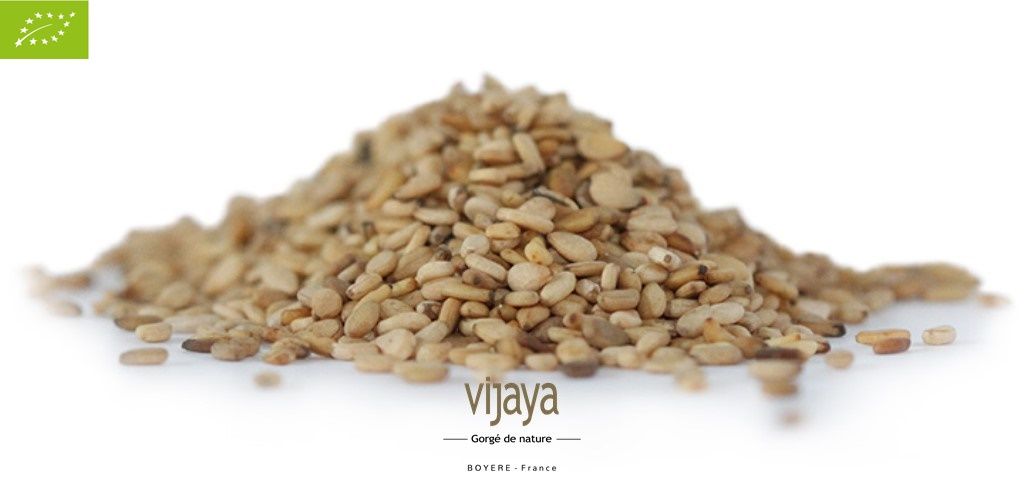 Vijaya